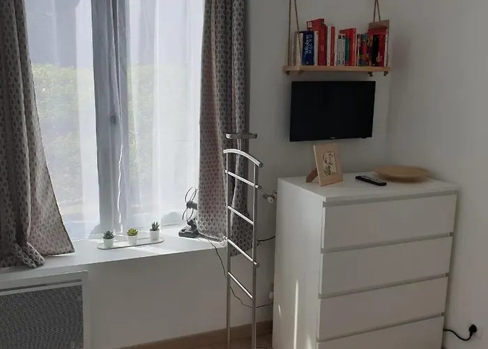 Apartamento Le P'tit Sancy 2 *